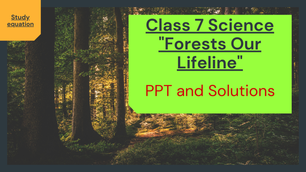 Forests Our Lifeline Class 7 Pdf Notes