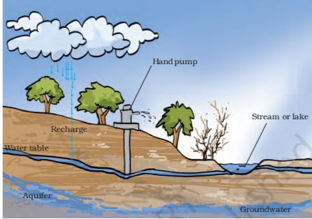 NCERT Solutions Class 7 Science Water: A Precious Resource Groundwater and Water Table 