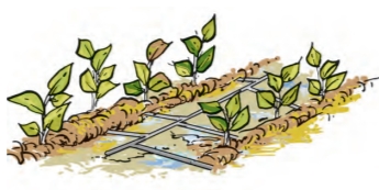 NCERT Science Chapter 16 Drip Irrigation