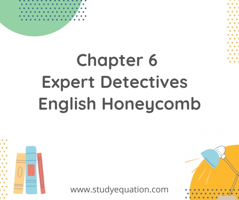 Chapter 6 Expert Detectives NCERT Solutions For Class 7 English Honeycomb