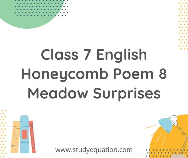 NCERT Solutions For Class 7 English Honeycomb Poem 8 Meadow Surprises