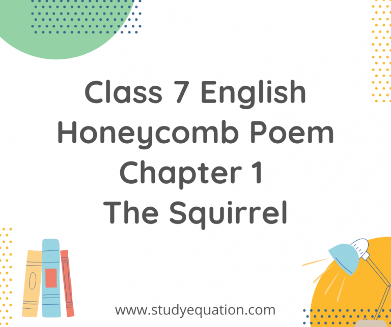 NCERT Solutions For Class 7 English Honeycomb Poem Chapter 1 The Squirrel