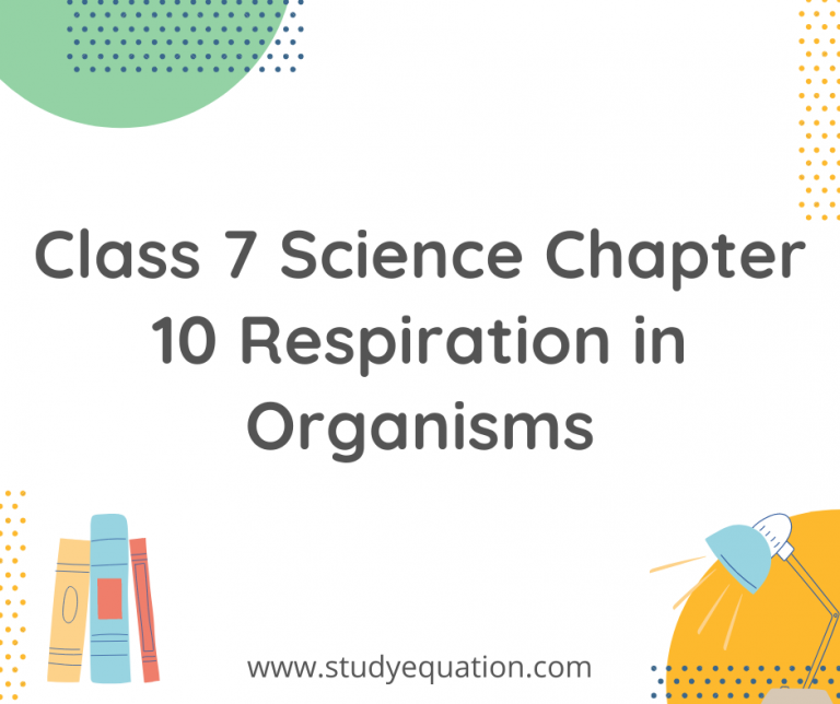 Best NCERT Solutions for Class 7 Science Chapter 10 Respiration in Organisms