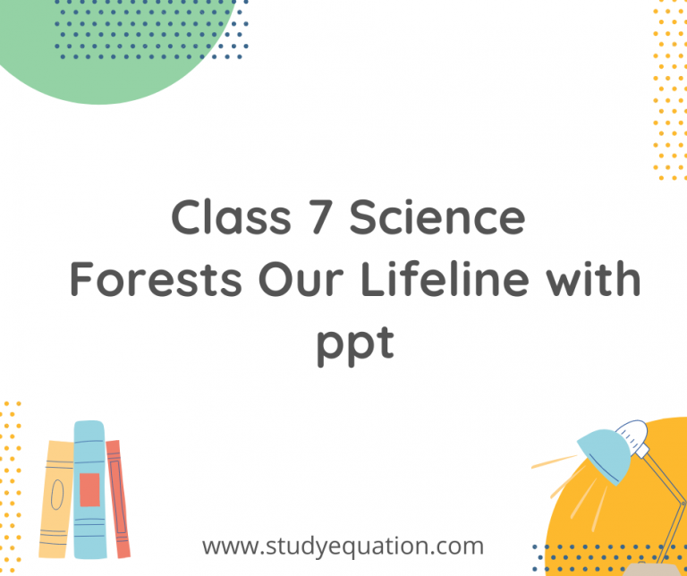 NCERT Solutions for Class 7 Science Forests Our Lifeline with ppt