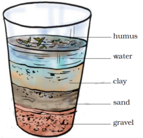 Layers of particles of different sizes in the glass tumbler- NCERT Solutions For Class 7 Science Chapter 9 Soil