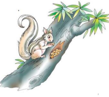 THE SQUIRREL:  NCERT Solutions For Class 7  English Honeycomb Poem Chapter 1: The Squirrel