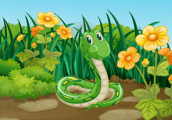 NCERT Solutions For Class 7 English Honeycomb Unit 9 Poem Garden Snake