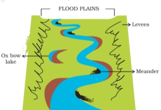 NCERT Solutions For Class 7 Social Science Geography Chapter 3 Our Changing Earth Features made by a river in a floodplain