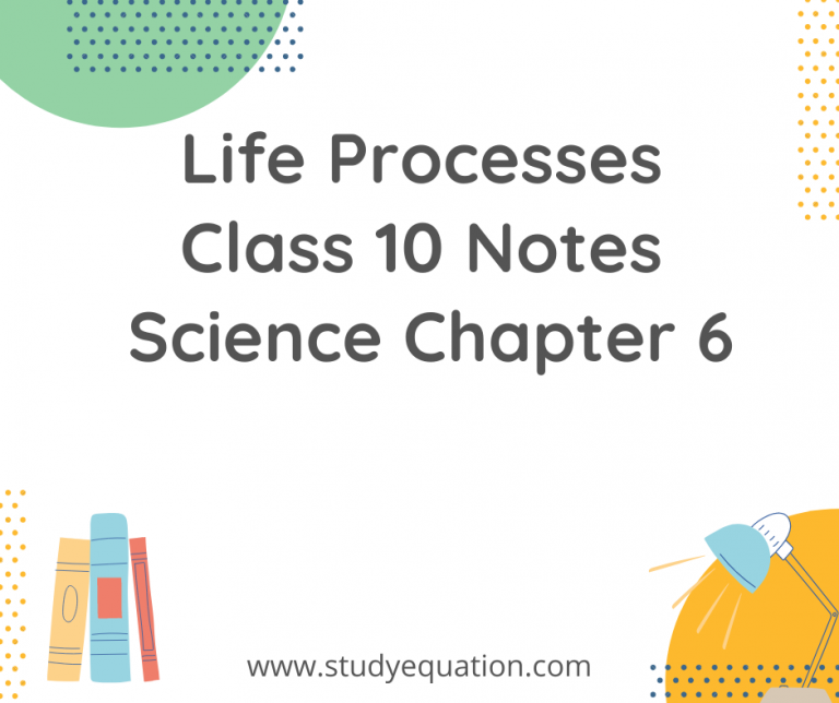 Life Processes Class 10 Notes Science Chapter 6