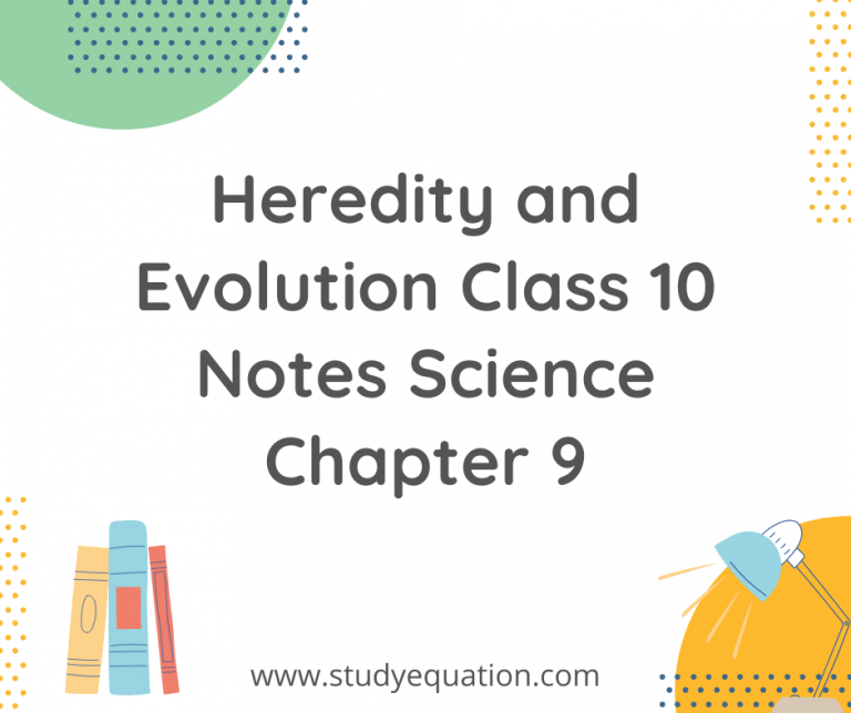 Heredity and Evolution Class 10 Notes Science Chapter 9