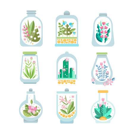 NCERT Solutions Class 7 Social Science Geography Water Terrariums