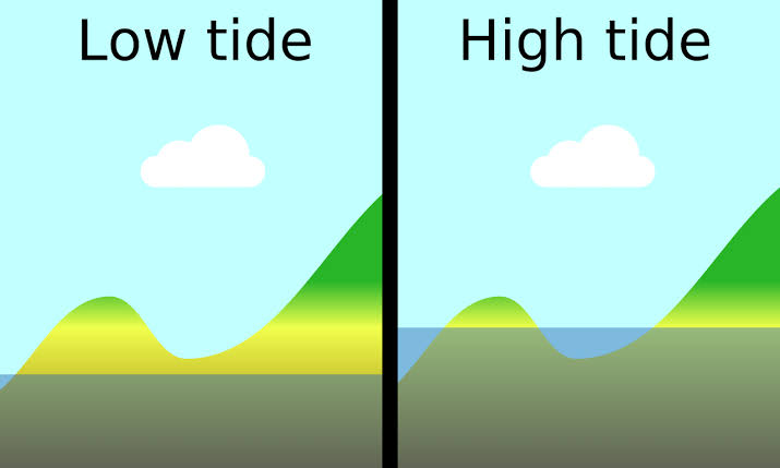 NCERT Solutions Class 7 Social Science Geography Water High Tide and Low Tide