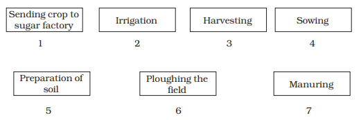 Crop Production And Management Class 8 Notes : Q. 9 