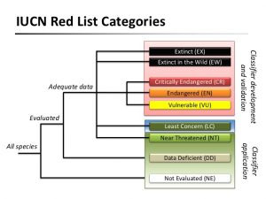 What Is Red Data Book? Advantage & Disadvantage Of Red Data Book ...