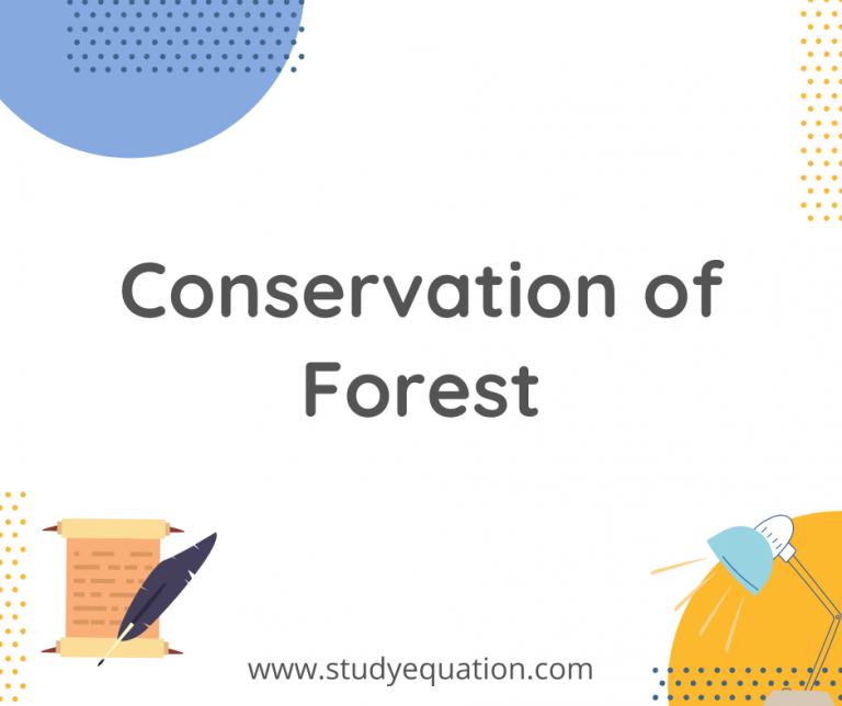 Essay On Conservation of forest