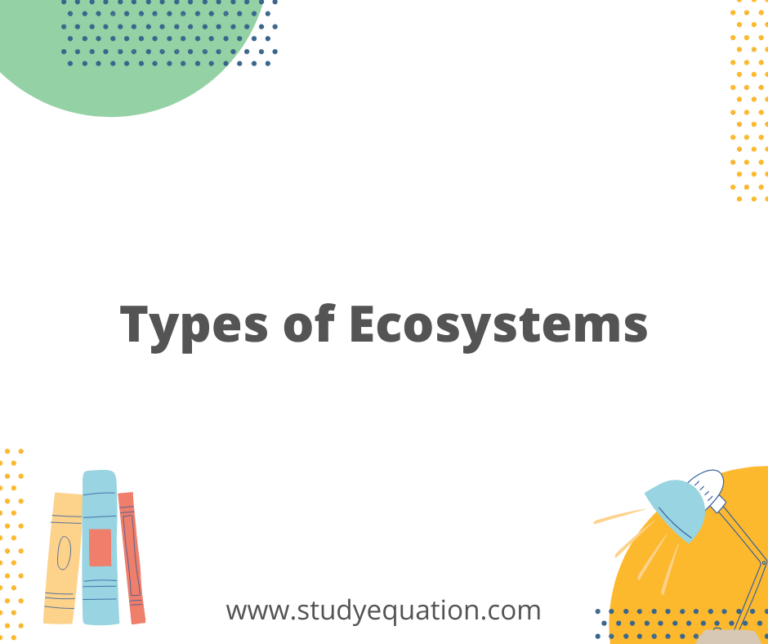 Types of Ecosystems And Their Examples With Pdf For Class 9 & 10