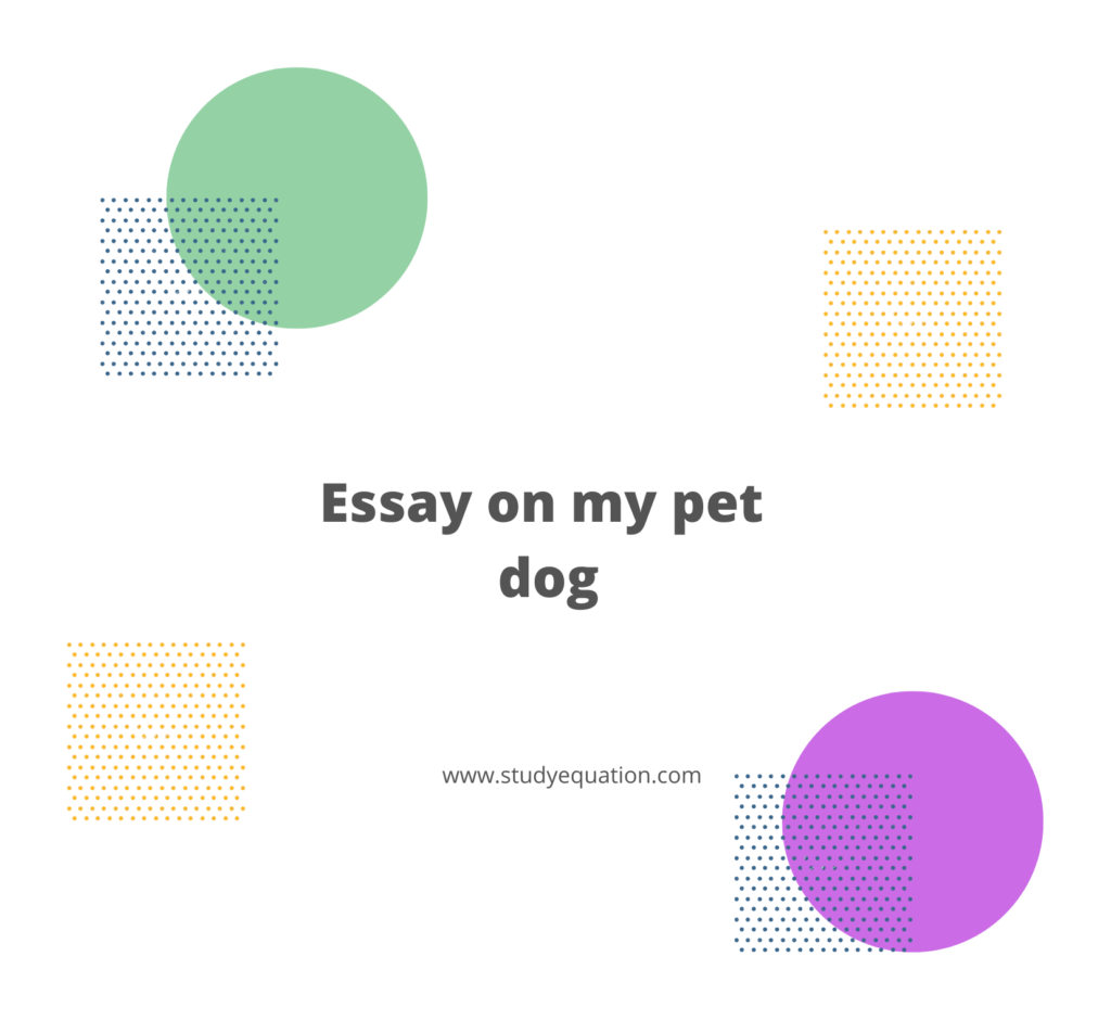 essay on pet dog for class 1