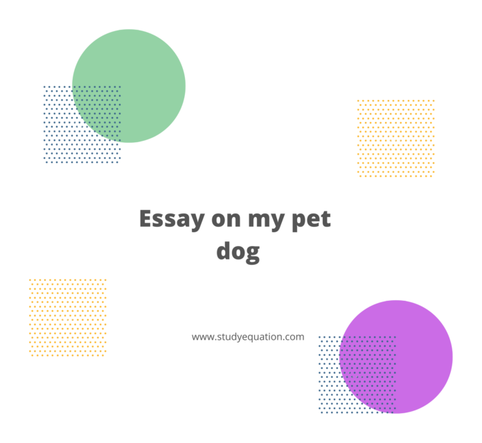 essay on my dog for class 3