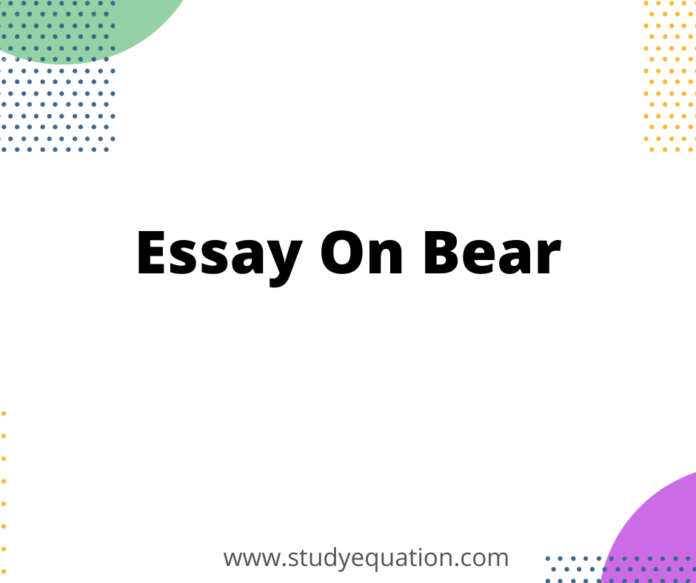 bear essay for class 1