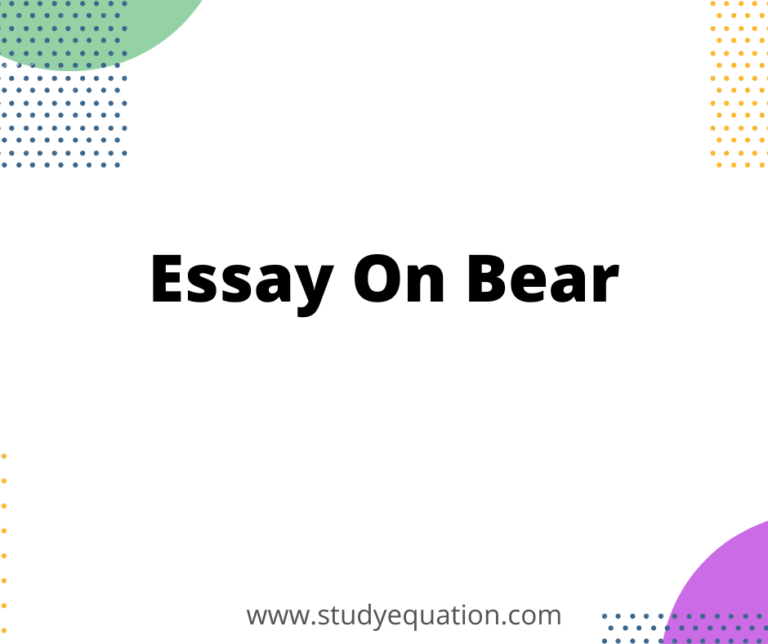 Essay on Bear 10 lines, Few lines for class 1,2,4,7 in English