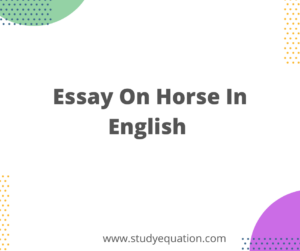 essay on horse race in english